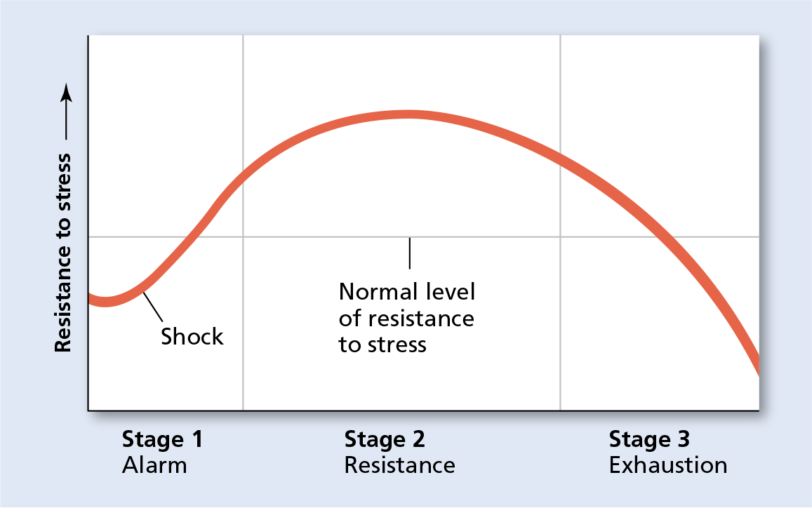 A line graph plots resistance to stress against the three stages of alarm, resistance, and exhaustion. Shock is marked in Stage 1. Resistance is the highest during Stage 2, way beyond the normal level of resistance to stress.