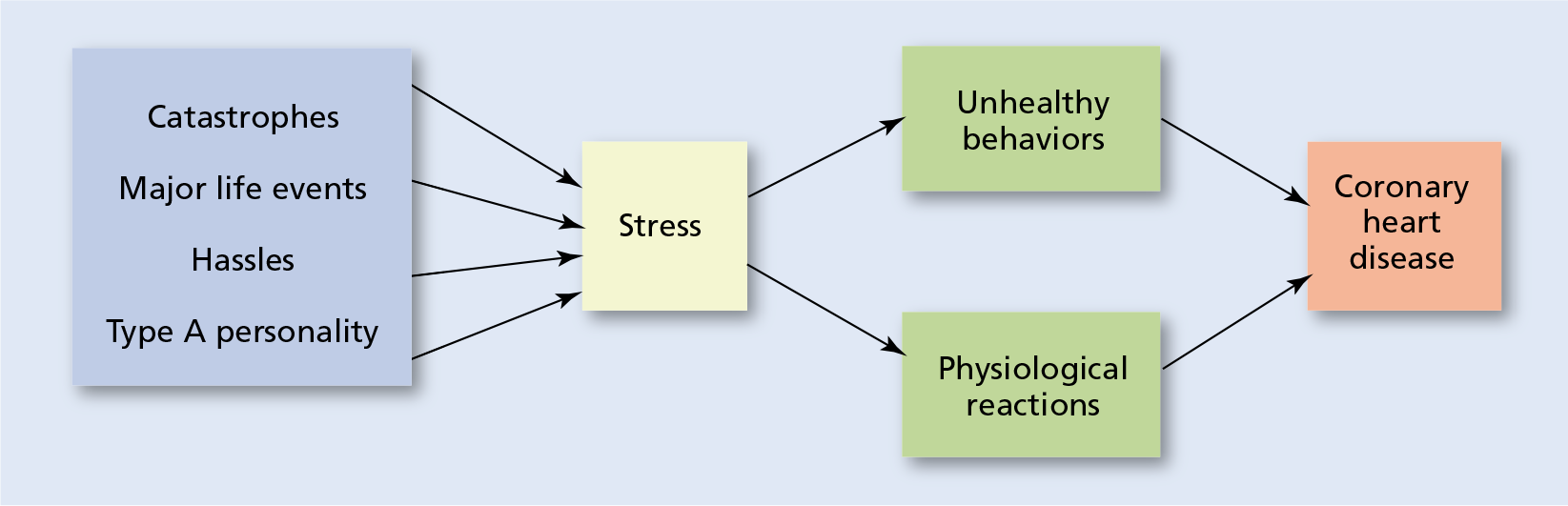 A horizontal flowchart shows the relationship between stress and coronary heart disease.