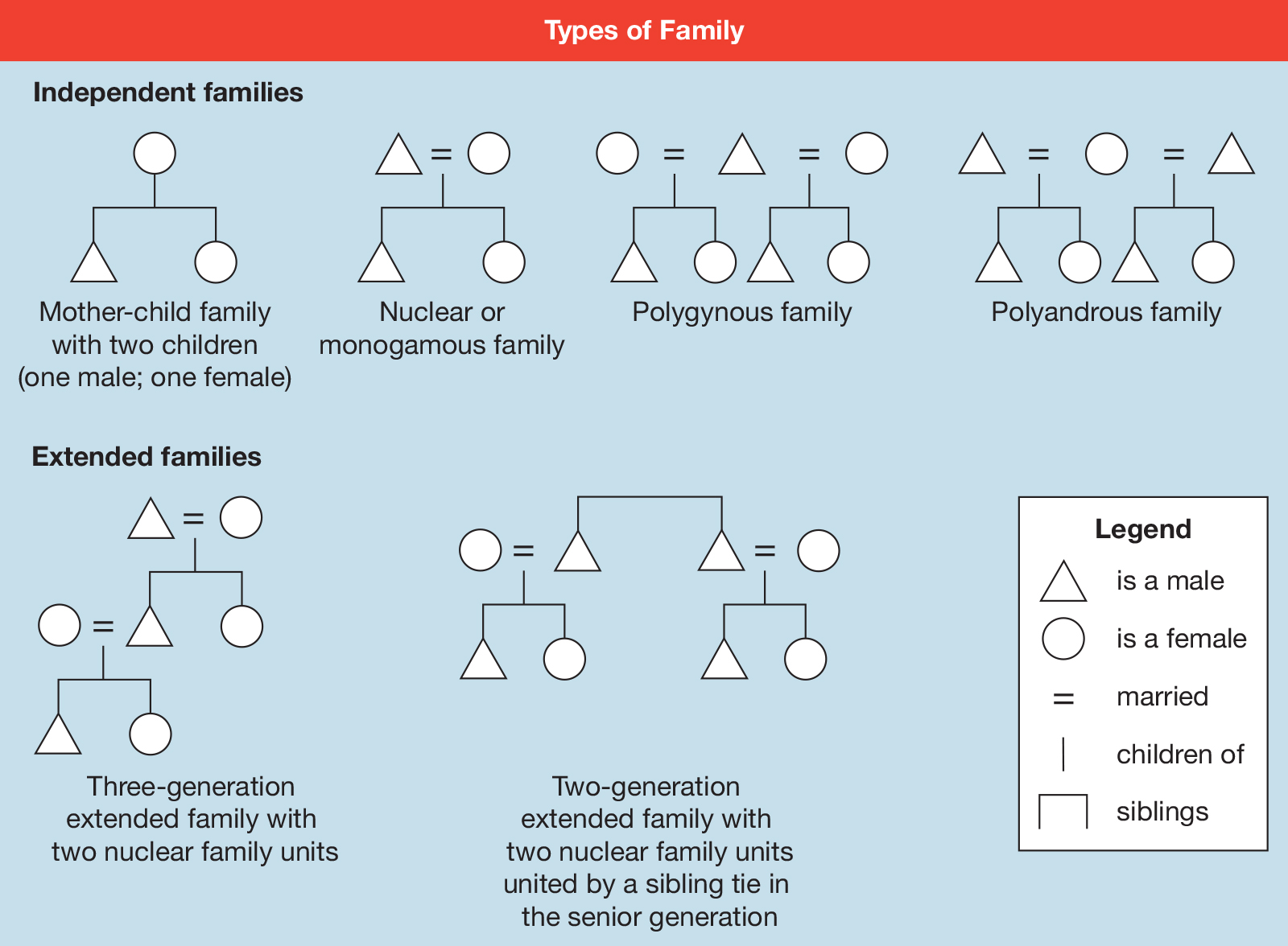 nuclear and extended family