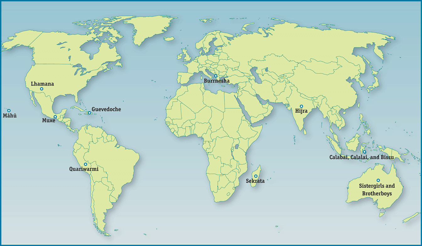 Map 91 Mapping Gender Diverse Cultures Around The World