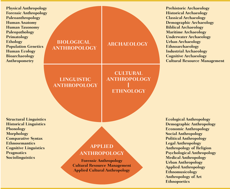 Anthropology: The Four Subfields